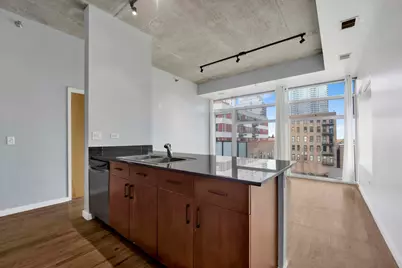 1620 S Michigan Avenue #514, Chicago, IL 60616 - Photo 11