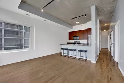 1620 S Michigan Avenue #514, Chicago, IL 60616 - Photo 9