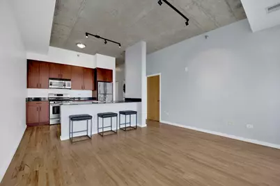 1620 S Michigan Avenue #514, Chicago, IL 60616 - Photo 7