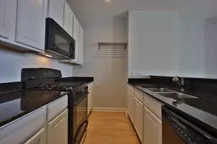 233 E 13th St, Chicago, IL 60605 - Photo 7