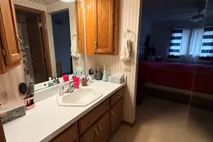 804 Deer Path Ln, Elwood, IL 60421 - Photo 11
