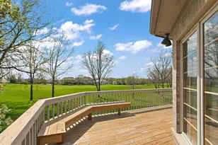10555 Wildflower Rd, Orland Park, IL 60462 - Photo 53