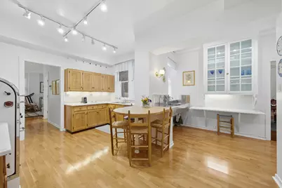 232 E Walton Place #3E, Chicago, IL 60611 - Photo 15