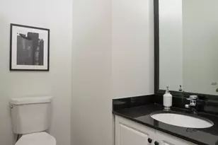1438 N Wieland St, Chicago, IL 60610 - Photo 15