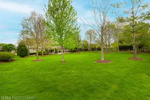 3025 Woods Creek Ln, Algonquin, IL 60102 - Photo 45