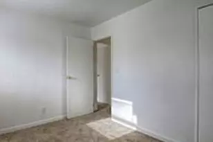 503 E Bradley Ave, Champaign, IL 61820 - Photo 5