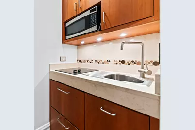 2600 N Lakeview Avenue #9B, Chicago, IL 60614 - Photo 53