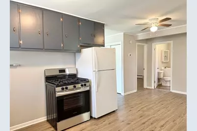 35339 N Hickory Lane, Round Lake, IL 60073 - Photo 7