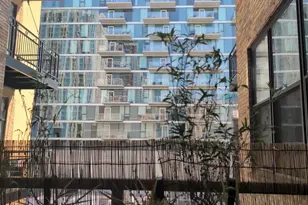 1307 S Wabash Ave, Chicago, IL 60605 - Photo 11