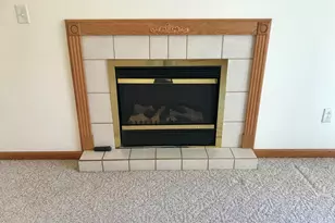 307 W Hudson St, Princeton, IL 61356 - Photo 13
