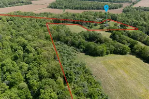 1580 Reevesville Rd, Grantsburg, IL 62943 - Photo 5