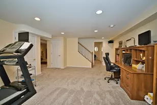 114 Rhine Ave, Bolingbrook, IL 60490 - Photo 45