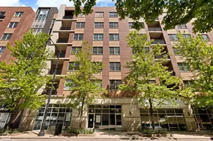 873 N Larrabee St, Chicago, IL 60610 - Photo 1