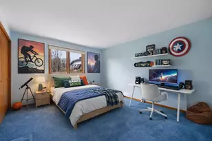 14006 Camden Dr, Orland Park, IL 60462 - Photo 19
