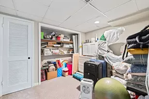 8226 Millbank Dr, Orland Park, IL 60462 - Photo 23