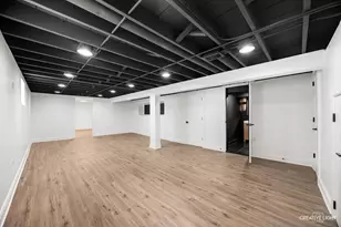 11101 S Ewing Ave, Chicago, IL 60617 - Photo 21