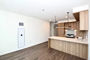 1000 S Michigan Ave, Chicago, IL 60605 - Photo 11