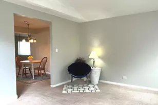 1669 Cape Breton Ct, Hoffman Estates, IL 60192 - Photo 9