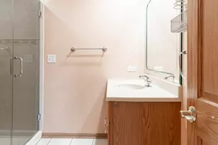 5149 S Sayre Ave, Chicago, IL 60638 - Photo 37
