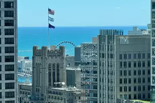 57 E Delaware Pl, Chicago, IL 60611 - Photo 7