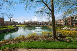 1040 Arbor Ln, Northfield, IL 60093 - Photo 25