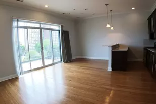 1609 W Warren Blvd, Chicago, IL 60612 - Photo 3