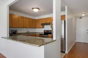 30 E Huron St, Chicago, IL 60611 - Photo 3