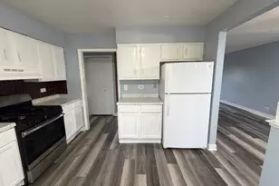 157 Plainview Dr, Bolingbrook, IL 60440 - Photo 9