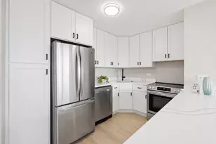 1255 N Sandburg Terrace, Chicago, IL 60610 - Photo 15