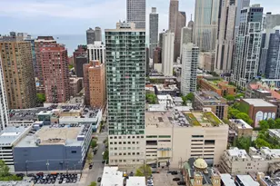 111 W Maple St, Chicago, IL 60610 - Photo 31