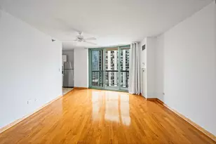 111 W Maple St, Chicago, IL 60610 - Photo 21