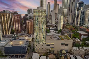 111 W Maple St, Chicago, IL 60610 - Photo 35