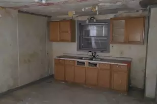 10029 S Exchange Ave, Chicago, IL 60617 - Photo 13