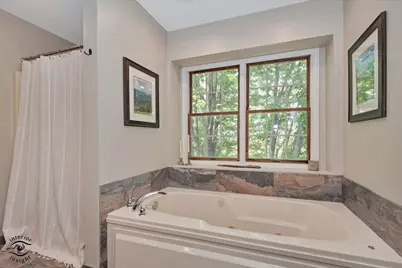 529 Stafford Drive, New Lenox, IL 60451 - Photo 19
