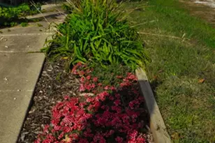 508 E Bronson St, Streator, IL 61364 - Photo 49