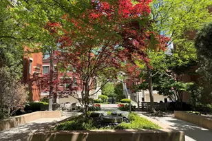 501 N Clinton St, Chicago, IL 60654 - Photo 47