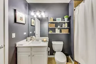 1645 W Ogden Ave, Chicago, IL 60612 - Photo 45