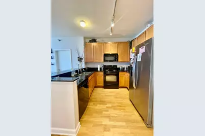 1841 S Calumet Street #1809, Chicago, IL 60616 - Photo 5