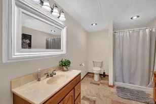 4595 Shady Ln, Morris, IL 60450 - Photo 29