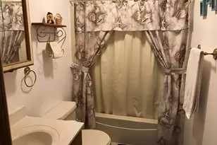 117 Chickasaw Ln, Loda, IL 60948 - Photo 9