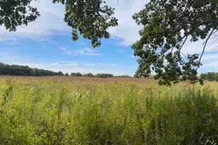 5N890 Surrey Rd, Wayne, IL 60184 - Photo 39