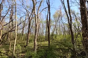 26 Catalina Dr, Putnam, IL 61560 - Photo 1