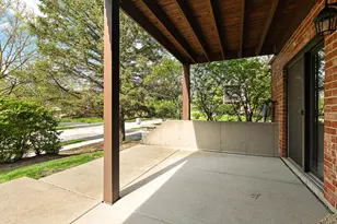 11229 Cameron Pkwy, Orland Park, IL 60467 - Photo 37