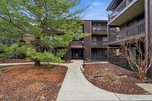 9610 Mason Ave, Oak Lawn, IL 60453 - Photo 15