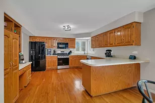 6 W Wend St, Lemont, IL 60439 - Photo 11