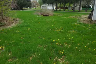 321 E Seminary Ave, Onarga, IL 60955 - Photo 7
