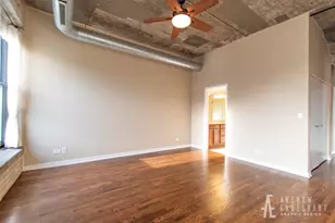 1069 W 14th Pl, Chicago, IL 60608 - Photo 11