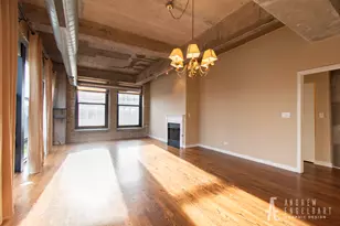 1069 W 14th Pl, Chicago, IL 60608 - Photo 3