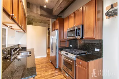 1069 W 14th Place #301, Chicago, IL 60608 - Photo 9