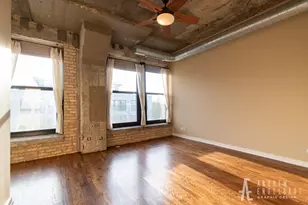 1069 W 14th Pl, Chicago, IL 60608 - Photo 5